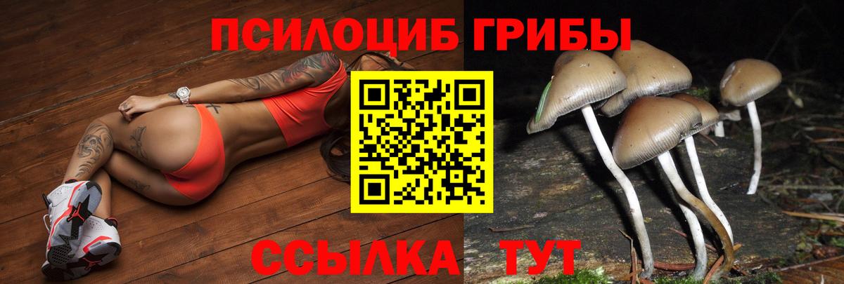 Майский  Галлюциногенные грибы Psilocybe  Галлюциногенные грибы GOLDEN TEACHER  Вход с VPN 