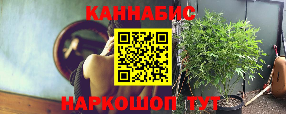 Майский  Шишки марихуана MAZAR  Вход с VPN  МАРИХУАНА план 